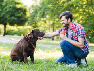 A man joyfully engages with his dog in the park, playing fetch with a ball, fostering a bond through play.