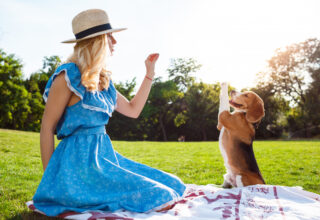 A blond girl playing with a dog in the park