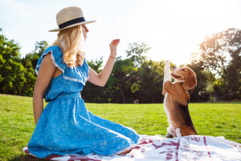 A blond girl playing with a dog in the park