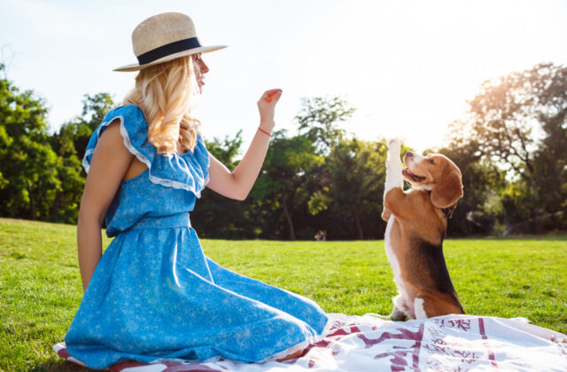 A blond girl playing with a dog in the park