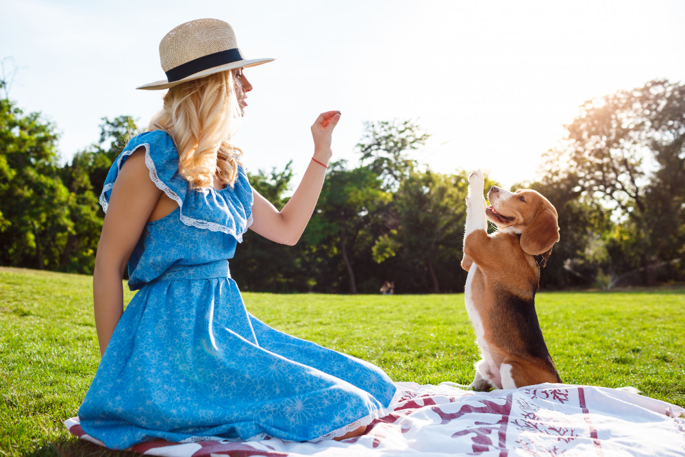 A blond girl playing with a dog in the park