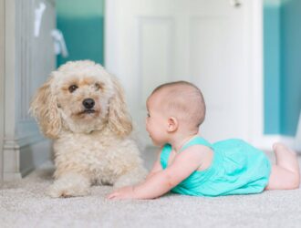Dog and Baby Sitting Together on Carpet