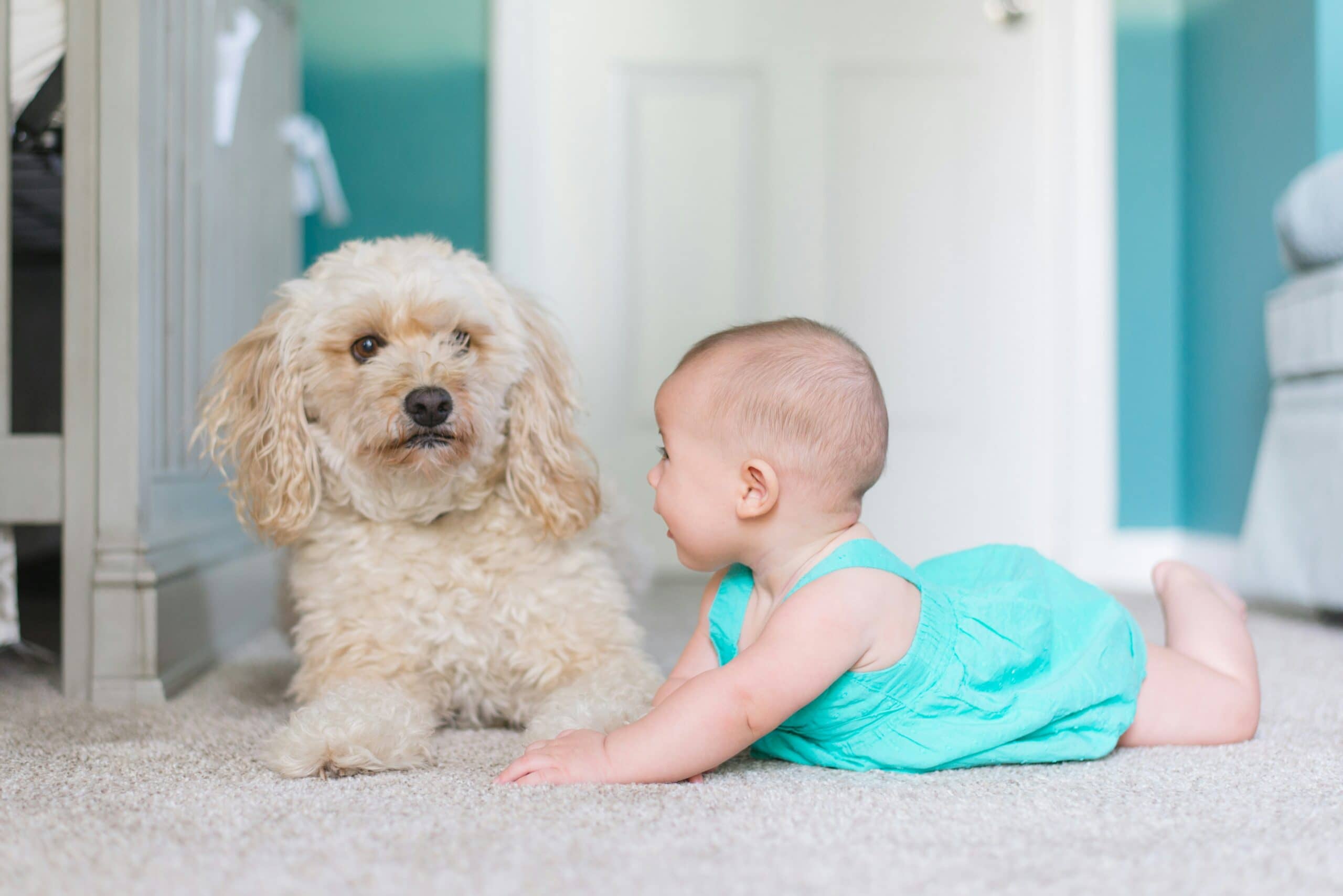 Dog and Baby Sitting Together on Carpet