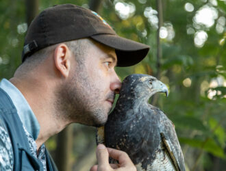 A man wearing a cap holds a bird, Bird Body Language