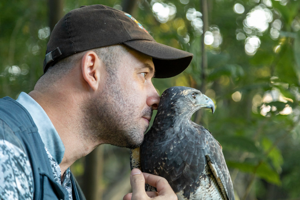 A man wearing a cap holds a bird, Bird Body Language